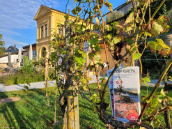 Busfahrt zur Landesgartenschau Oberösterreich "INNSgrün" in Schärding am 31.07.2025 | © Landesgartenschau Schärding