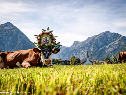 Busfahrt Karwendel und die Ausflugsziele rund um den Achensee von 2.-5.10.2025 | © Achensee Tourismus
