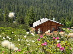 Busfahrt auf die Planneralm zur Latschenbrennerei am 27. August 2026 | © Latschenbrennerei