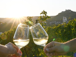 Kellergassenfest im Weinviertel, Falkenstein von 18.-20. September 2026 | © Falkenstein_Kellergassenfest@WTG Lisa Sedlatschek