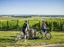 Radtour & Therme durch die Länder: Österreich - Slowenien - Ungarn - Kroatien von 17.-21.05.2023 | © Bor Dobrin