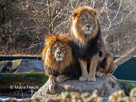 Familienausflug Bavaria Filmstadt und Tierpark Hellabrunn, München von 28.-29.05.2023 | © Maria Fencik
