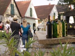 Kellergassenfest im Weinvierte - Falkenstein von 15.-17.09.2023 | © Weinviertel Tourismus-Lahofer