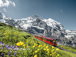 Mit dem Planaibus in die facettenreiche Schweiz von 14.-17.7.2022 | © Jungfrau.ch