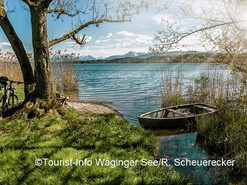 Mit dem Planaibus am 15.09.2022 einen Radtag am Waginger See erleben | © ©Tourist-Info Waginger See/R. Scheuerecker