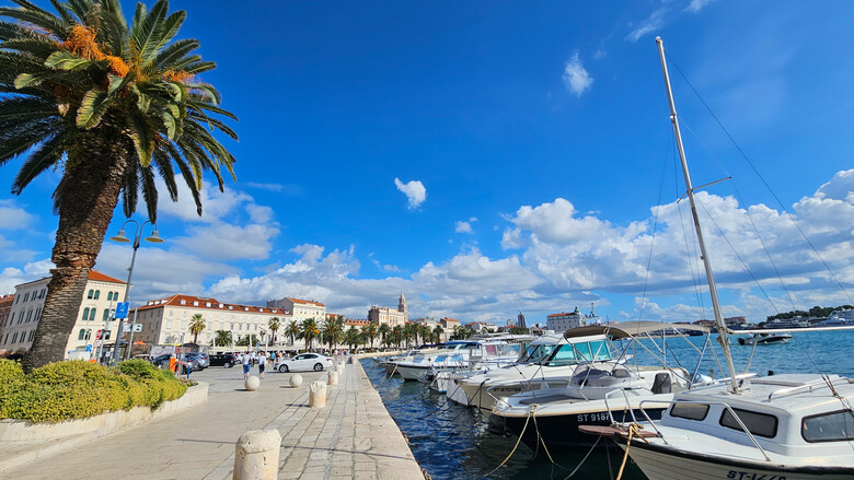 Busfahrt zur Mandarinenernte von 22.-27.10.2024 | © Gudrun Fuchs