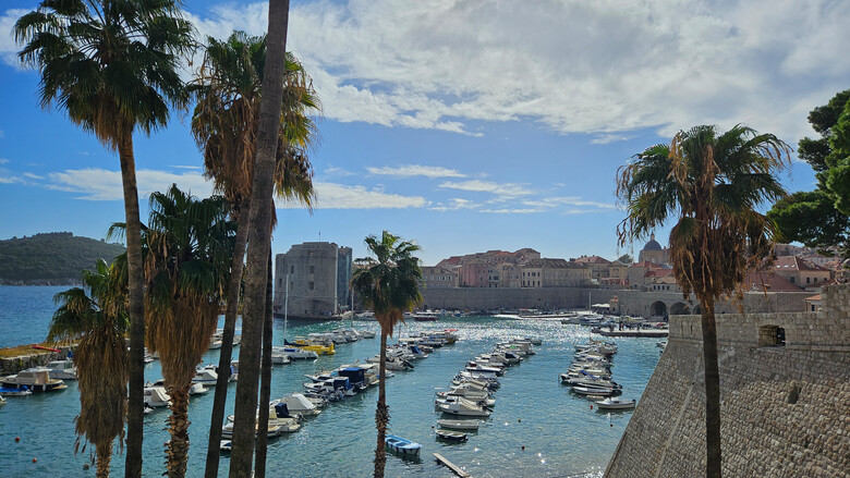 Busfahrt zur Mandarinenernte von 20. bis 25. Oktober 2026 | © Gudrun Fuchs