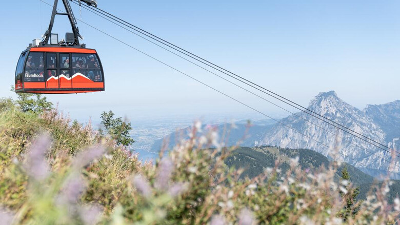 Busfahrt ins Salzkammergut am 10.07.2025 | © Bergbahn Feuerkogel - Traunsee Touristik GmbH - Viktoria Hofauer